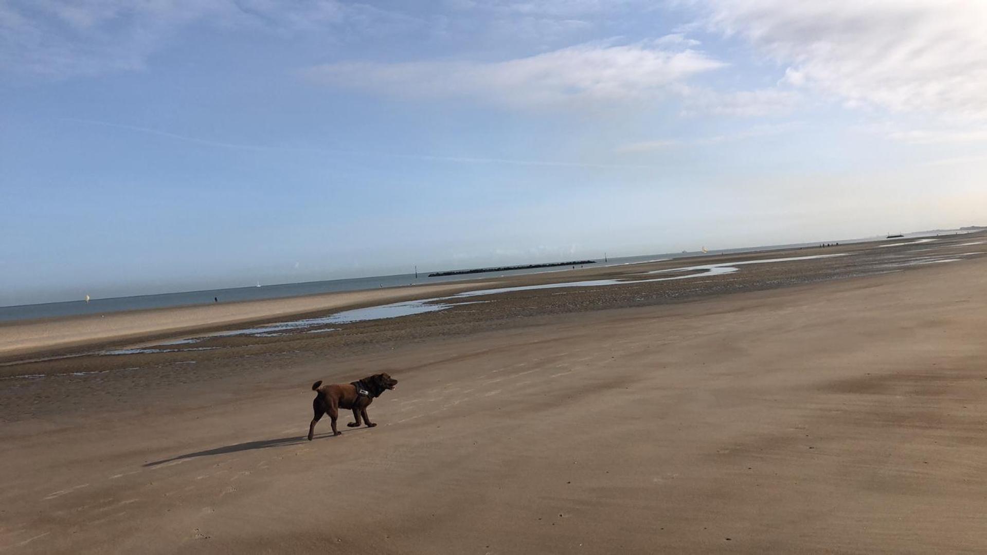 Appartement Sur La Plage De Malo Les Bains Vue Mer Dunkirk Dış mekan fotoğraf