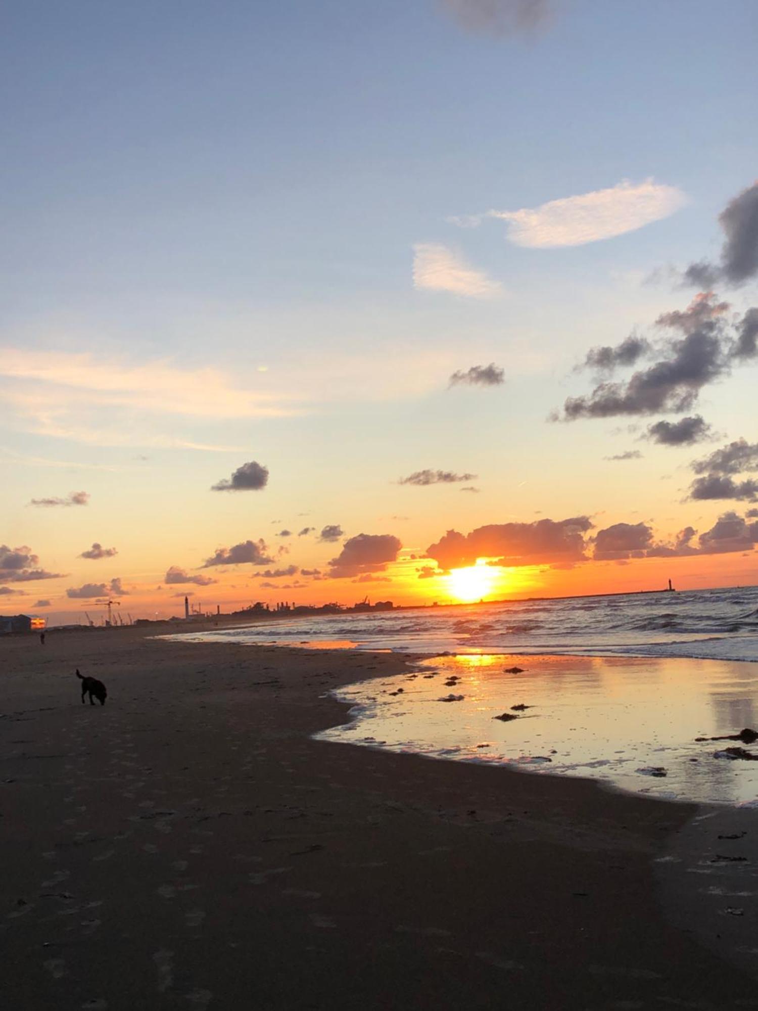 Appartement Sur La Plage De Malo Les Bains Vue Mer Dunkirk Dış mekan fotoğraf